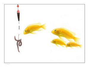 数据库迁移技巧：从老系统平滑过渡的方法